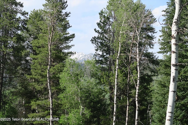view of wooded area