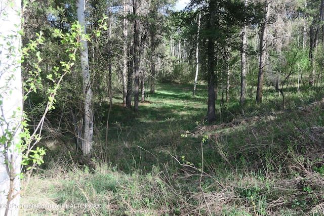 view of wooded area