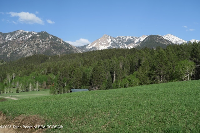 mountain view with a heavily wooded area