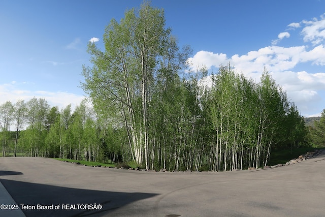 view of asphalt road featuring a wooded view