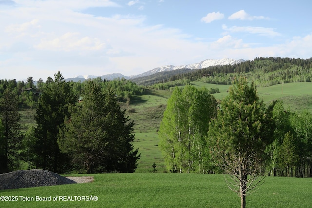 mountain view