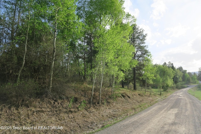 view of dirt / gravel road