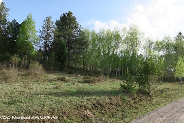 view of undeveloped land