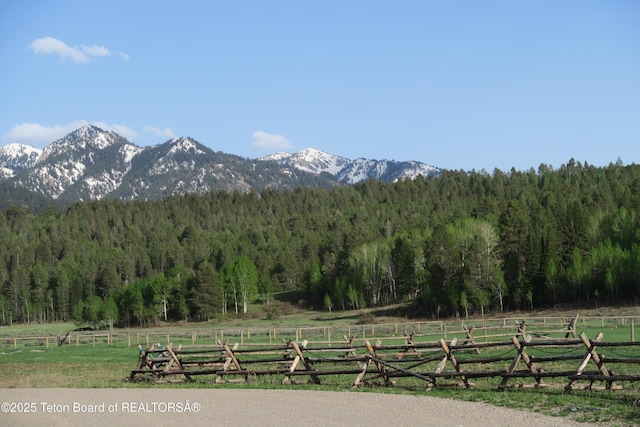 view of mountain backdrop with a heavily wooded area and rural landscape