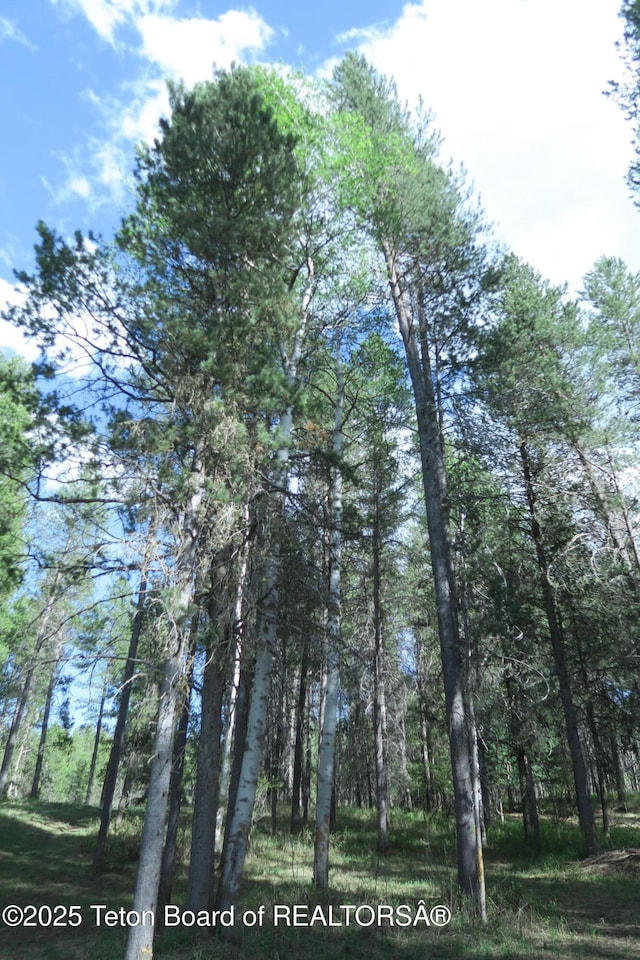 view of nature