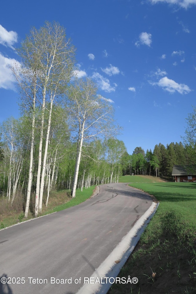 view of asphalt street