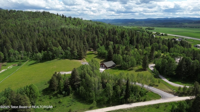 278 Dell Creek Rd, Alpine, WY 83128 - photo 47
