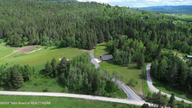 278 Dell Creek Rd, Alpine, WY 83128 - photo 48