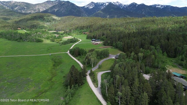 278 Dell Creek Rd, Alpine, WY 83128 - photo 49