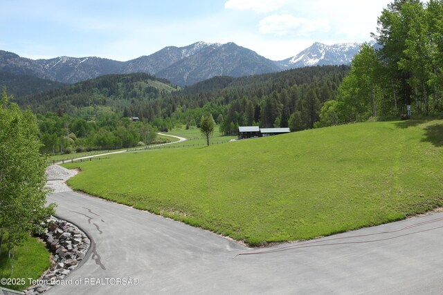278 Dell Creek Rd, Alpine, WY 83128 - photo 41