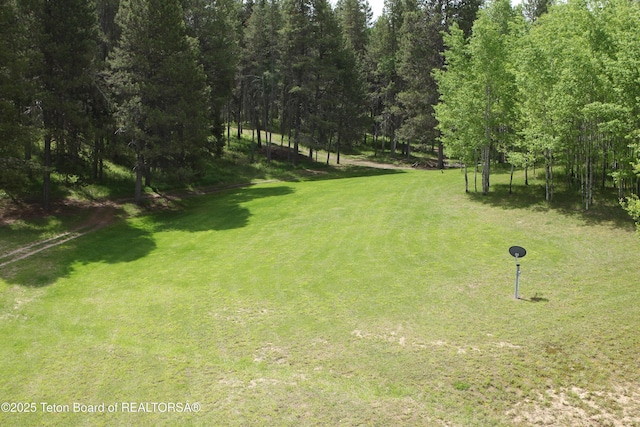 278 Dell Creek Rd, Alpine, WY 83128 - photo 44