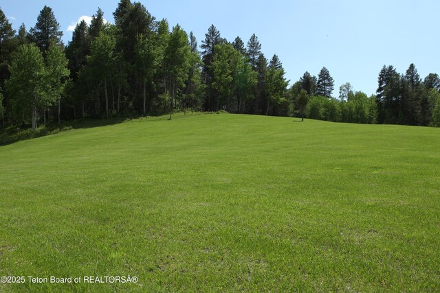 278 Dell Creek Rd, Alpine, WY 83128 - photo 36
