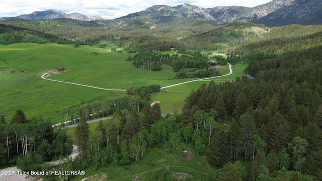 278 Dell Creek Rd, Alpine, WY 83128 - photo 50