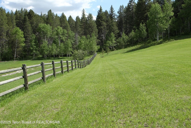278 Dell Creek Rd, Alpine, WY 83128 - photo 35