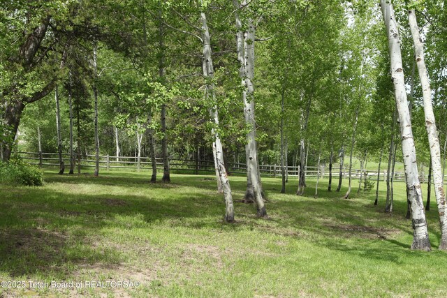 278 Dell Creek Rd, Alpine, WY 83128 - photo 39