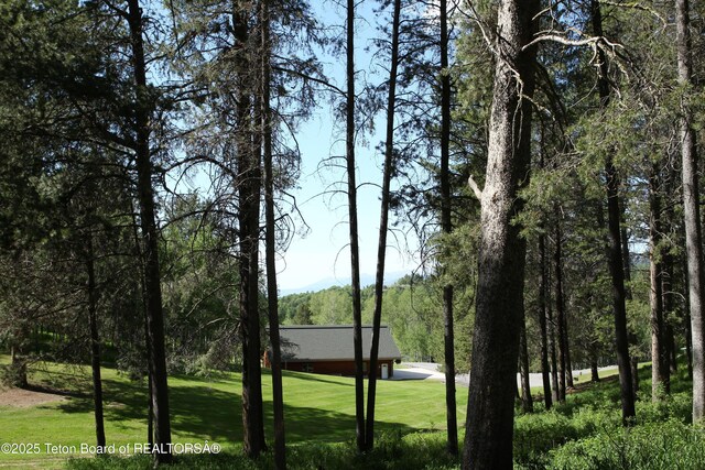 278 Dell Creek Rd, Alpine, WY 83128 - photo 42