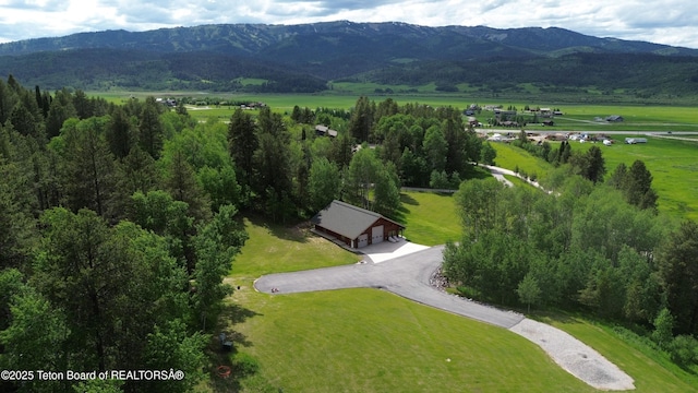 278 Dell Creek Rd, Alpine, WY 83128 - photo 46