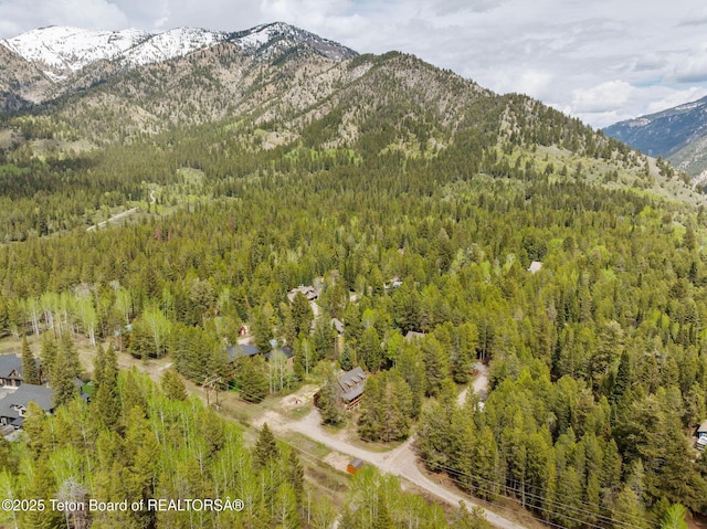 mountain view with a forest