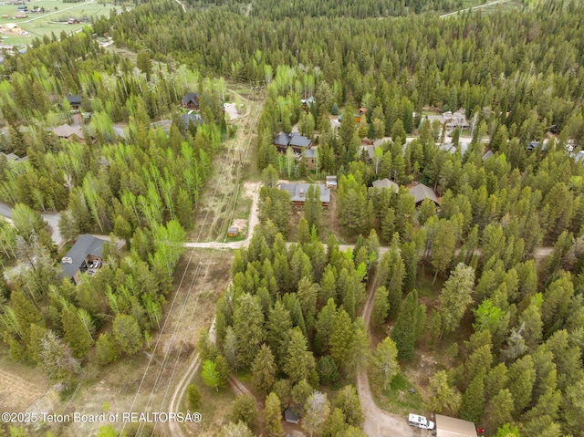 bird's eye view of a forest