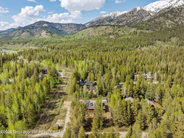 drone / aerial view of a forest and a mountainous background