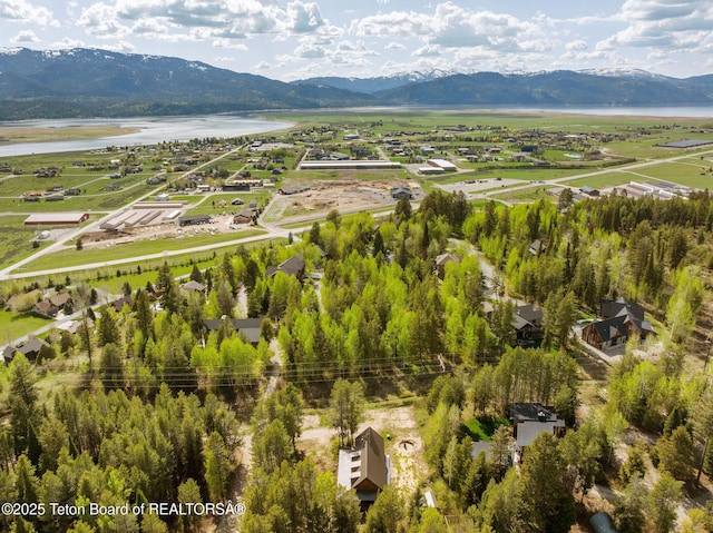 bird's eye view of a water and mountain view