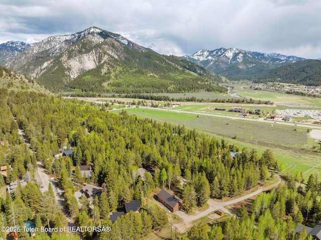 mountain view with rural landscape