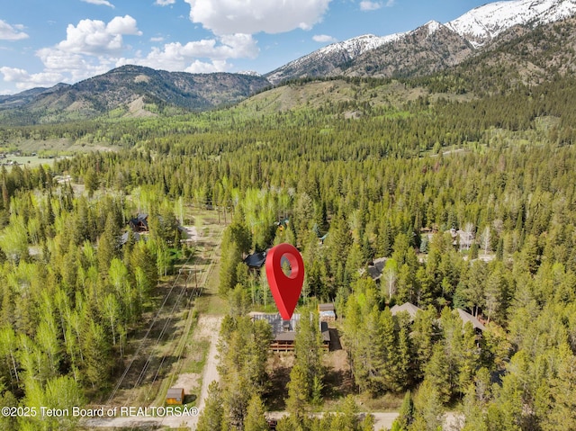 bird's eye view of a forest and a mountainous background