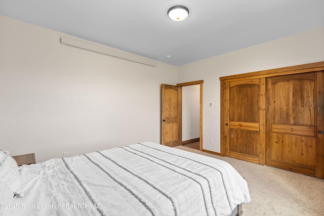 101 Alta Dr, Star Valley Ranch, WY 83127 - view of carpeted bedroom