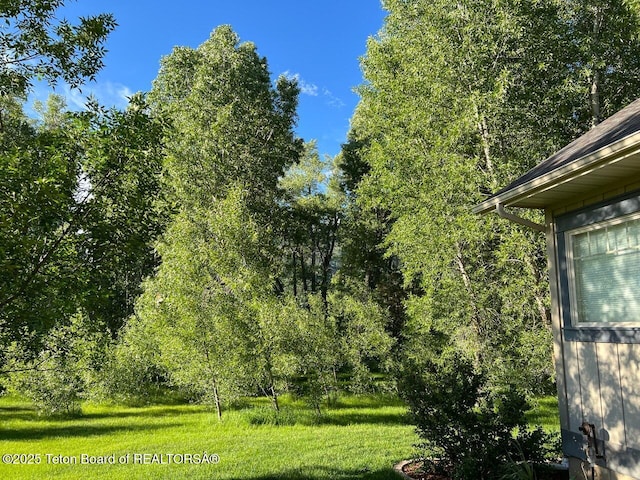 96 Hardman Rd, Star Valley Ranch, WY 83127 - view of grassy yard