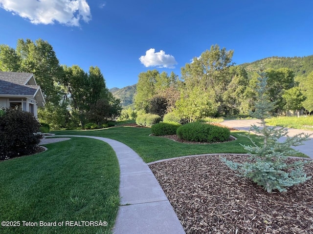 96 Hardman Rd, Star Valley Ranch, WY 83127 - view of green lawn with a mountain view
