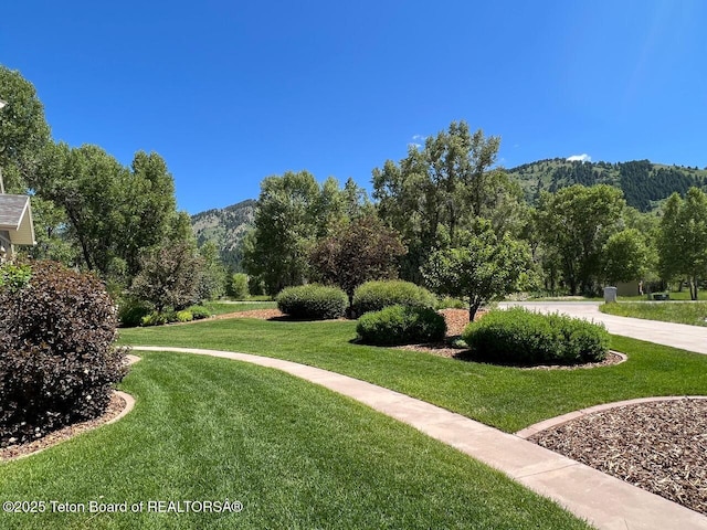 96 Hardman Rd, Star Valley Ranch, WY 83127 - view of community featuring a yard and a mountain view