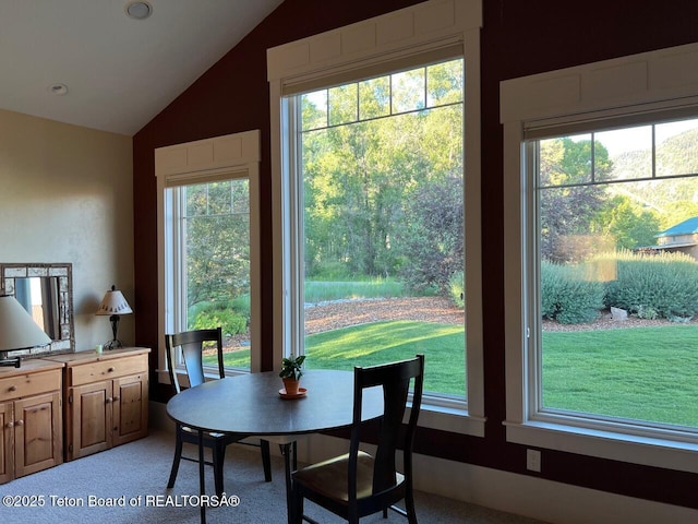 96 Hardman Rd, Star Valley Ranch, WY 83127 - dining space featuring lofted ceiling, healthy amount of natural light, and carpet