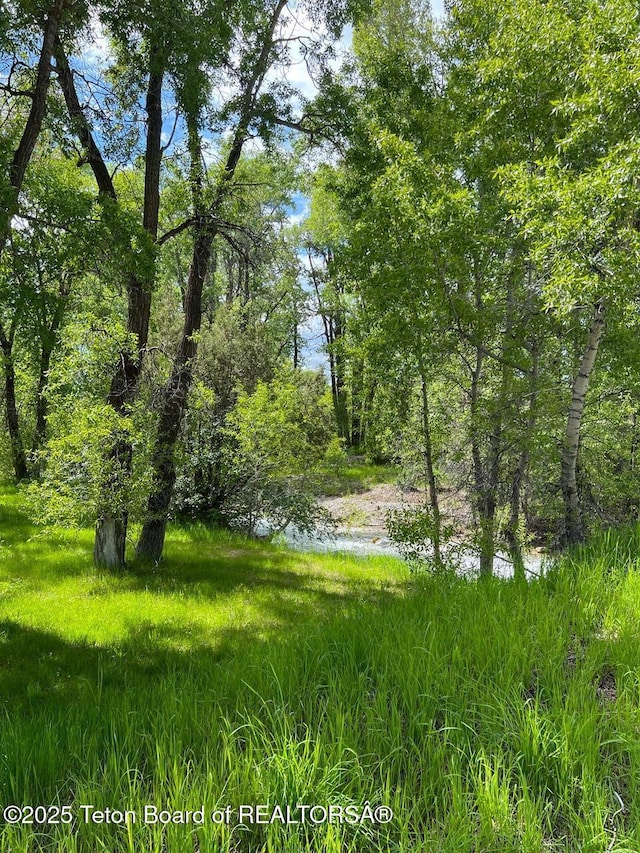 96 Hardman Rd, Star Valley Ranch, WY 83127 - view of nature