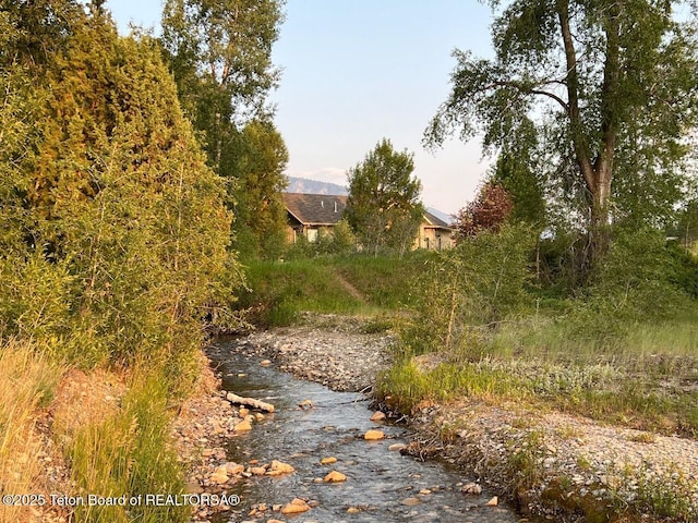 96 Hardman Rd, Star Valley Ranch, WY 83127 - view of yard