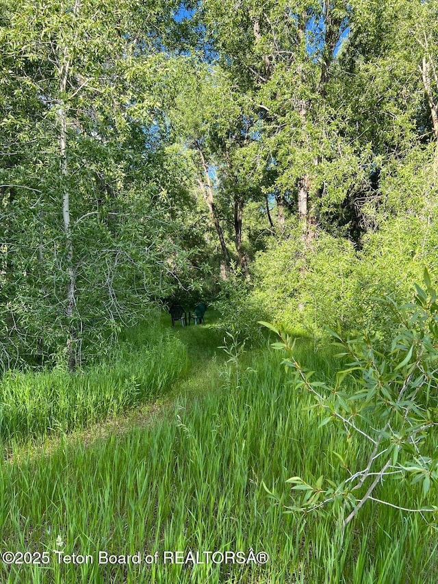 96 Hardman Rd, Star Valley Ranch, WY 83127 - view of undeveloped land