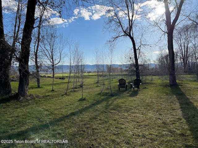 96 Hardman Rd, Star Valley Ranch, WY 83127 - view of green lawn featuring a mountain view and a view of rural / pastoral area