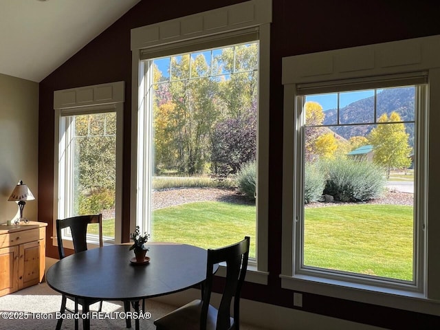 96 Hardman Rd, Star Valley Ranch, WY 83127 - dining space with lofted ceiling