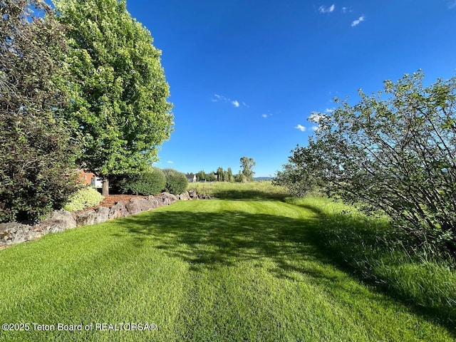 96 Hardman Rd, Star Valley Ranch, WY 83127 - view of green lawn