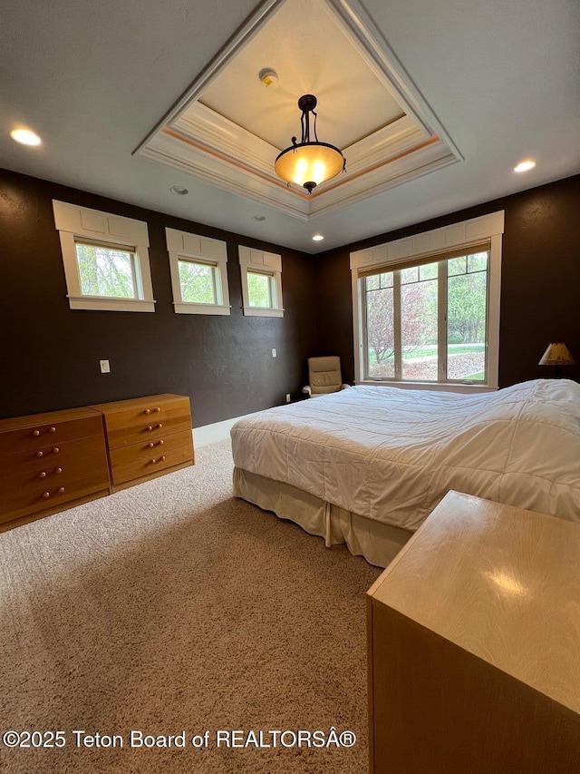 96 Hardman Rd, Star Valley Ranch, WY 83127 - carpeted bedroom featuring a tray ceiling and recessed lighting