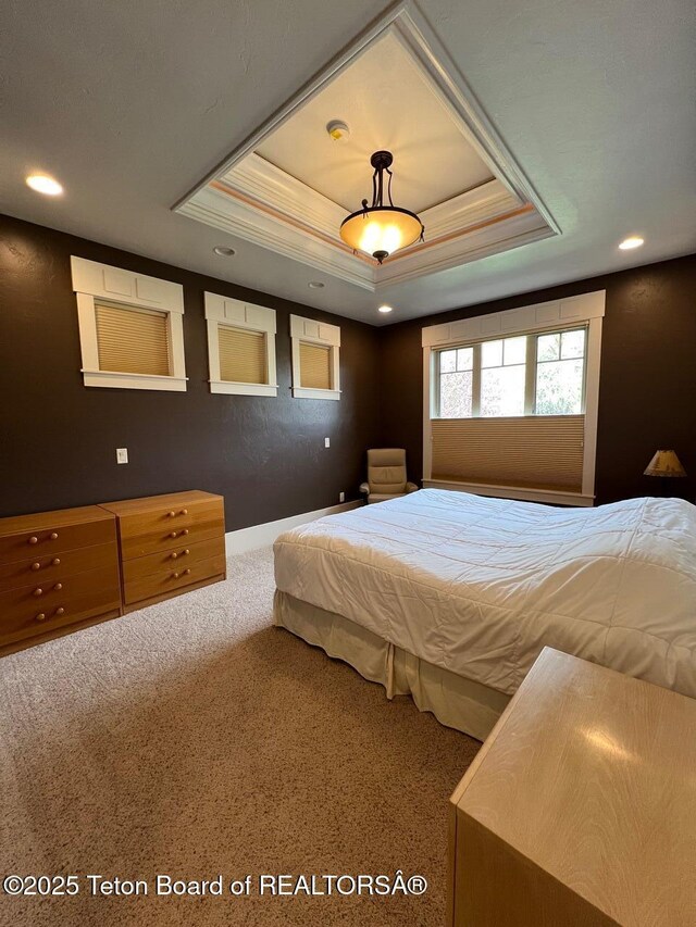 96 Hardman Rd, Star Valley Ranch, WY 83127 - carpeted bedroom with a tray ceiling and recessed lighting