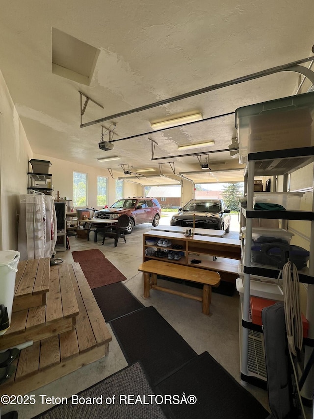 96 Hardman Rd, Star Valley Ranch, WY 83127 - garage featuring a garage door opener