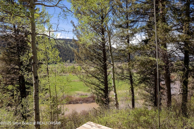 185 River Bench Rd, Thayne, WY 83127 - view of yard with a forest view