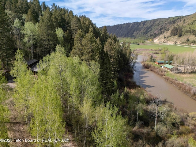 185 River Bench Rd, Thayne, WY 83127 - view of mountain backdrop with a heavily wooded area and rural landscape