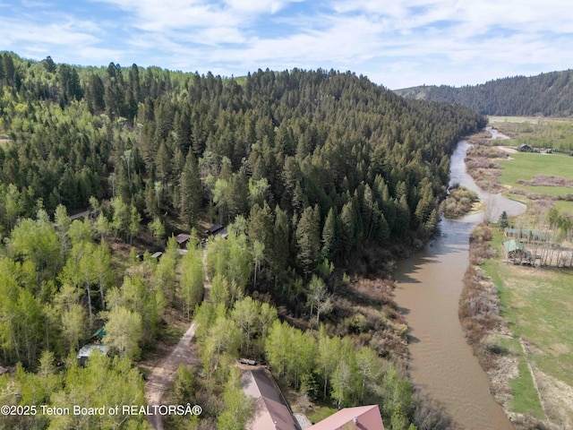 185 River Bench Rd, Thayne, WY 83127 - bird's eye view of a forest and a mountain backdrop