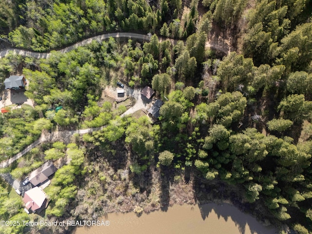 185 River Bench Rd, Thayne, WY 83127 - aerial view of property's location with a forest