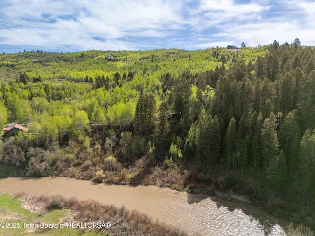 185 River Bench Rd, Thayne, WY 83127 - aerial view of a forest