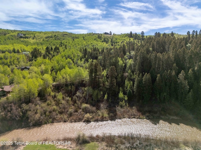 185 River Bench Rd, Thayne, WY 83127 - view of wooded area