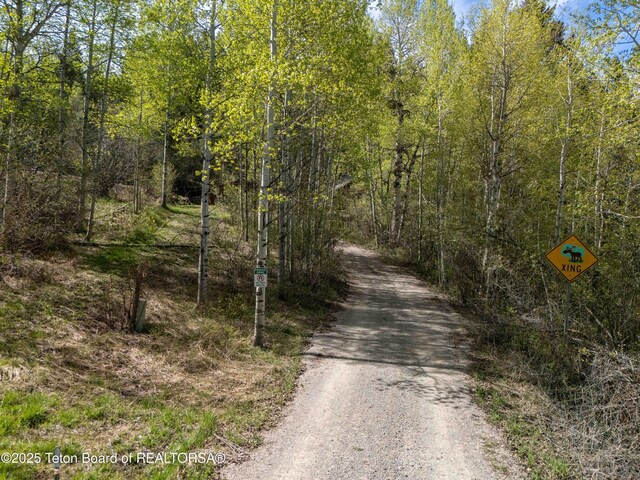 185 River Bench Rd, Thayne, WY 83127 - view of street featuring a wooded view