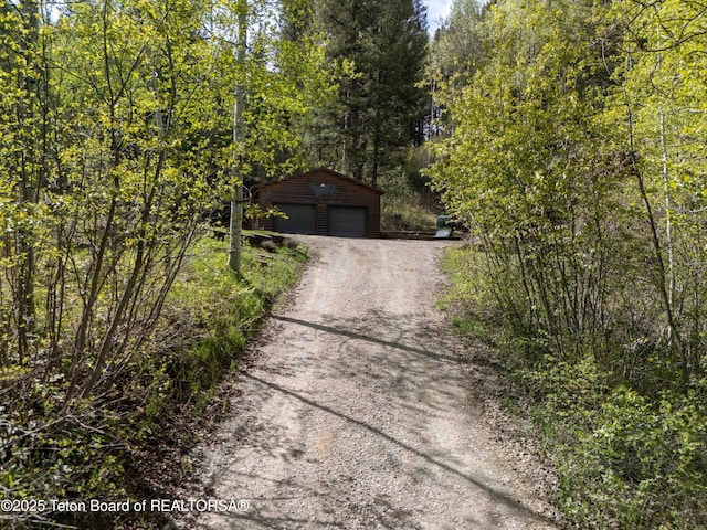 185 River Bench Rd, Thayne, WY 83127 - view of dirt / gravel driveway featuring a view of trees
