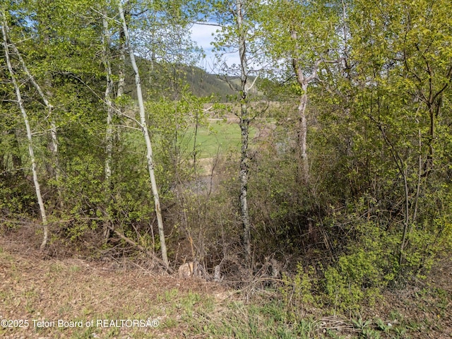 185 River Bench Rd, Thayne, WY 83127 - view of undeveloped land